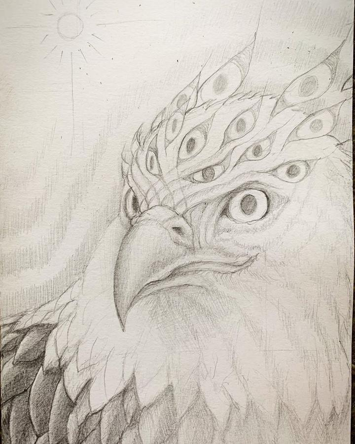 Cosmic Eagle