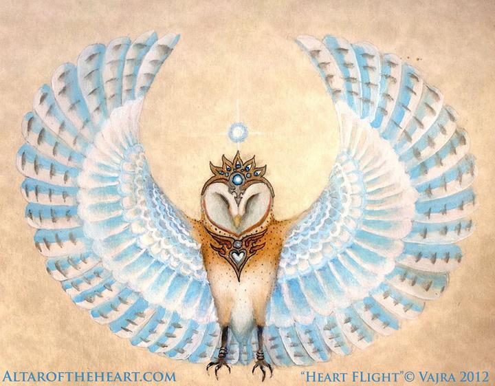 Heartflight